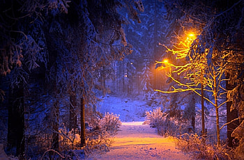 Winter at Myllyjarvi, winter, graphy, parks, scenery, snow, trees, places, Finland, frozen, attractions in dreams, forests, beautiful, seasons, creative pre-made, love four seasons, landscapes, nature HD wallpaper