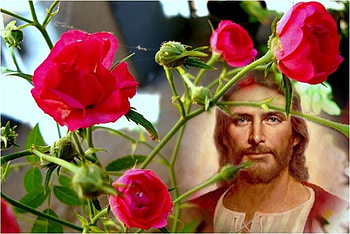 Jesus, god, rose, flower, christ, religion, christianity HD wallpaper