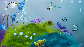 Flowers Glow At Night, night, bird, firefox persona, frog, grass, stars, butterflies, petals, sparkle, flowers HD wallpaper
