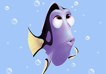 Fish, other, beautiful, animals HD wallpaper