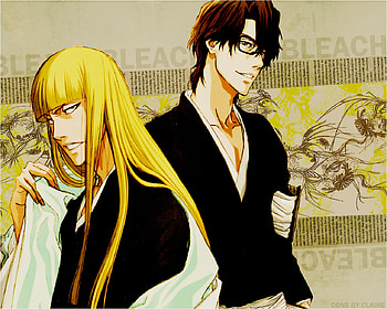 aizen sousuke, Hirako Shinji, captain, bleach, anime HD wallpaper
