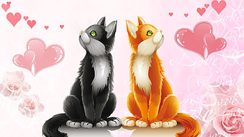 cute animal cat valentines day HD wallpaper