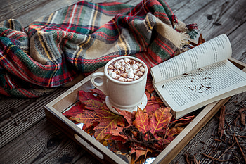 Food, Autumn, Book, Marshmallow, Zephyr, Cocoa, Plaid HD wallpaper