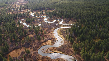 Mississippi travels, Rivers of Life series, Mississippi episode, Documentary HD wallpaper