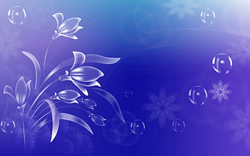 Abstract, Flowers, Leaves, Circles, Shine, Brilliance, Form HD wallpaper
