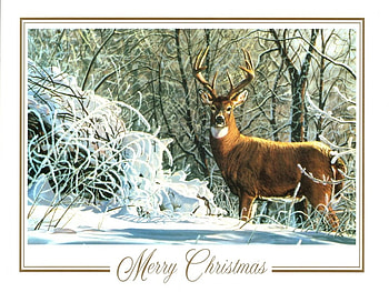Merry christmas, winter, merry, deer, animals, snow, christmas, beauty HD wallpaper
