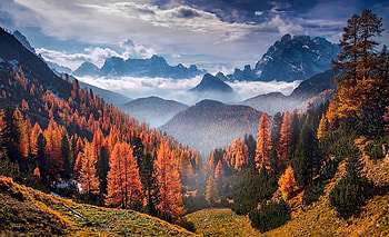 Forest Landscape Clouds , forest, landscape, clouds, nature HD wallpaper