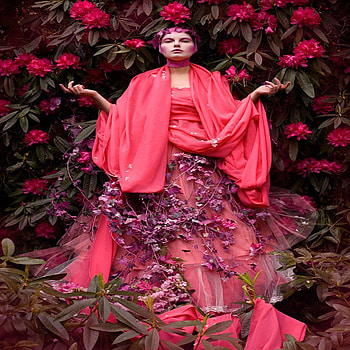 FLOWER QUIN, pink, flower, peace, nature, quin, leafs, woman, beauty HD wallpaper