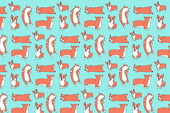 Corgis on Teal HD wallpaper