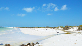 October 5, 2016 - Clouds Dunes Island Nature Honeymoon Sand Sea Foilage Ocean Florida Birds HD wallpaper