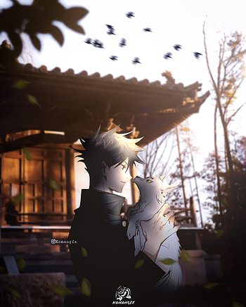 Megumi Fushiguro, sky, art, natrue, wolf, jujutsu kaisen, megumi , nobara, yuji itadori, japanese, jujutsu kaisen , jujutsu kaisen anime, gojo, anime reality, sukuna HD phone wallpaper
