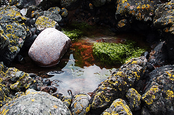 Nature, Water, Stones, Moss, Puddle, Porous, Il, Silt HD wallpaper