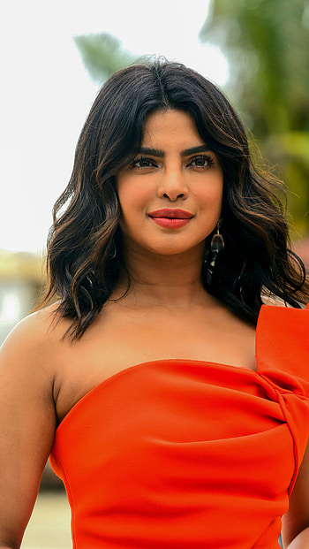 Priyanka Chopra, bollywood actress, piggy HD phone wallpaper