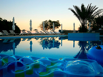 Swimming under a sunset, blue, swimming, pool, palm trees HD wallpaper