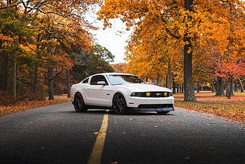 White, Ford Mustang, sports car HD wallpaper