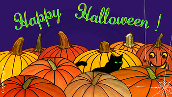 Happy Halloween! :D, black cat, October 31st, Ha11oween, kitty cat, spider, Autumn, pumpkins, jack o lanterns, pumpkin, Happy Halloween, spider web, trick or treat, Jackolanterns HD wallpaper