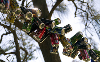 Drinks, Miscellanea, Miscellaneous, Wood, Tree, Branch, Soda, Banks, Soda Water HD wallpaper