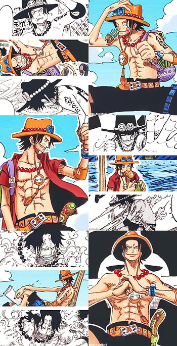 Ace, Anime, One Piece, Manga HD phone wallpaper