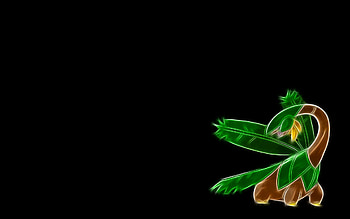 black leaves, black, colors, fight, anime, light, attack, shine, game, pokemon HD wallpaper