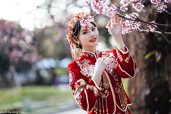 : Cherry Blossom Elegance — Asian Woman in Red HD wallpaper
