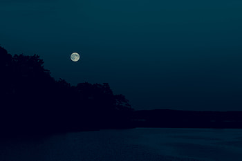 Trees, Night, Moon, Shore, Bank, Dark HD wallpaper