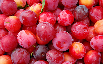 Fruits, Food, Background, Berries, Plum HD wallpaper