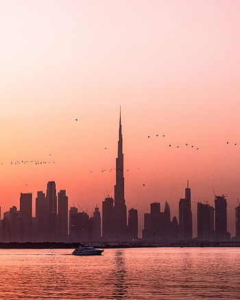 Cities, Birds, Water, Sunset, City, Building, Boat HD phone wallpaper