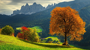 Dolomites, , windows HD wallpaper