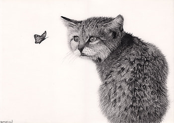 Cat and butterfly, pisica, white, black, butterfly, bw, cat HD wallpaper