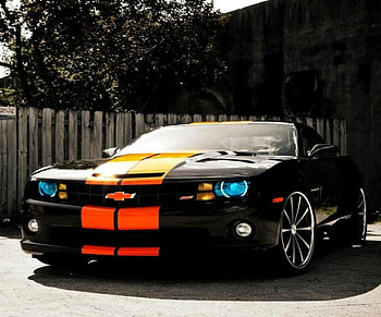 One Hot Camaro, american muscle, muslce car, black camaro HD wallpaper
