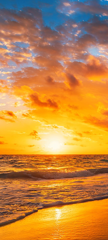 nature, beach HD phone wallpaper
