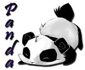 Panda HD wallpaper