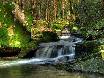 Nature, Trees, Waterfall, Vegetation, Flow, Austria, Klein-Pöchlarn, Stream, Klein-Pehlarn HD wallpaper