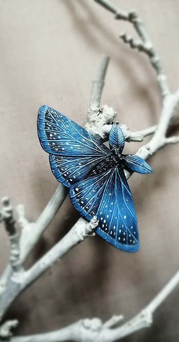 Beautiful bugs, Beautiful butterflies, Cute moth, 2021 HD phone wallpaper