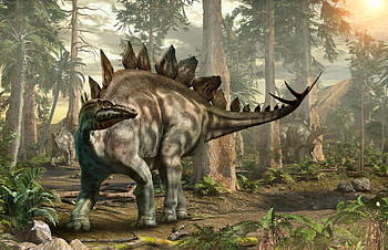 Stegosaurus steckbrief, Dinosaur features, Description, Prehistoric creature HD wallpaper