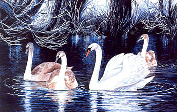On The River, river, overhanging plants, art, swan family HD wallpaper