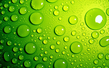Top And Natural Green - Styli HD wallpaper