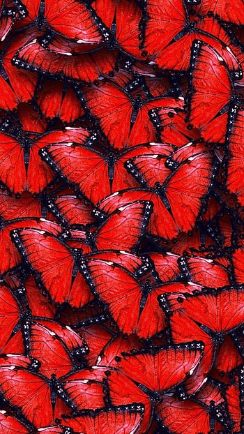 Red Butterfly, Background, backgroun d HD phone wallpaper