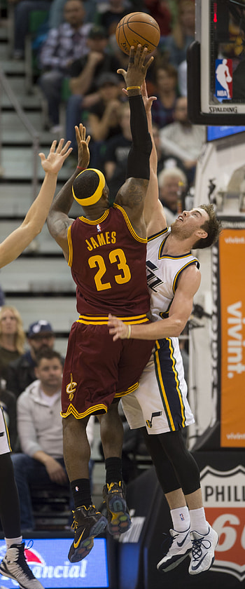 LeBron James, Gordon Hayward HD phone wallpaper