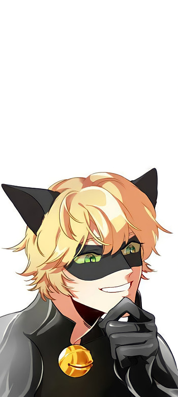 Cat Noir, Miraculous, Adrien, Ladybug, Agreste, Chat Noir HD phone wallpaper