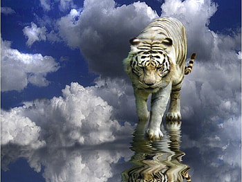 No Boundaries, clouds, boundaries HD wallpaper