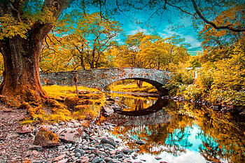 Nature, Rivers, Trees, Grass, Autumn, Pond HD wallpaper