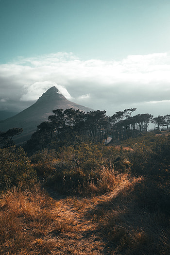 Nature, Trees, Clouds, Mountain, Vertex, Top HD phone wallpaper