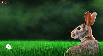 Grass, Art, Profile, Rabbit, Hare HD wallpaper