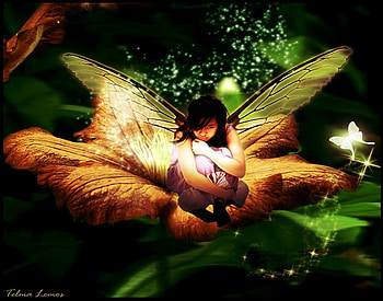 Sad Fairy, fairy, butterflies, abstract, fantasy, other HD wallpaper