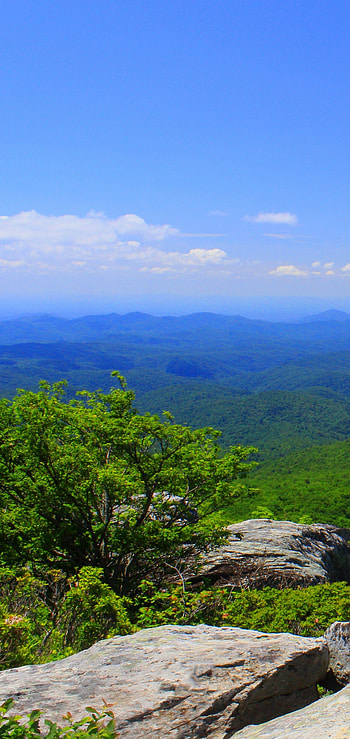 North Carolina, Mountains, Grass, Landscape HD phone wallpaper