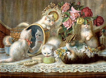 Five senses, kitten, mirror, animal, art, cat, pisica, rose, painting, pictura, flower, luminos HD wallpaper