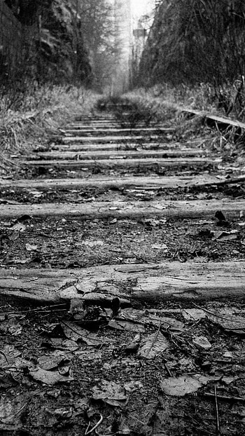 Depressing, Black And White, Forest, Train Track HD phone wallpaper