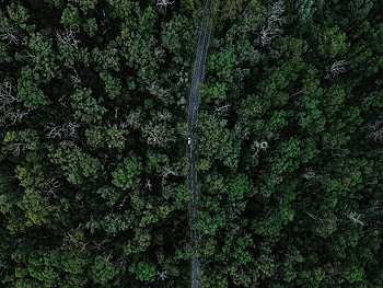 View From Above, Miscellanea, Miscellaneous, Road, Forest, Car HD wallpaper