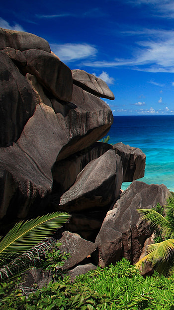 Grand Anse beach, La Digue island, Windows 10 spotlight, Serene landscape HD phone wallpaper